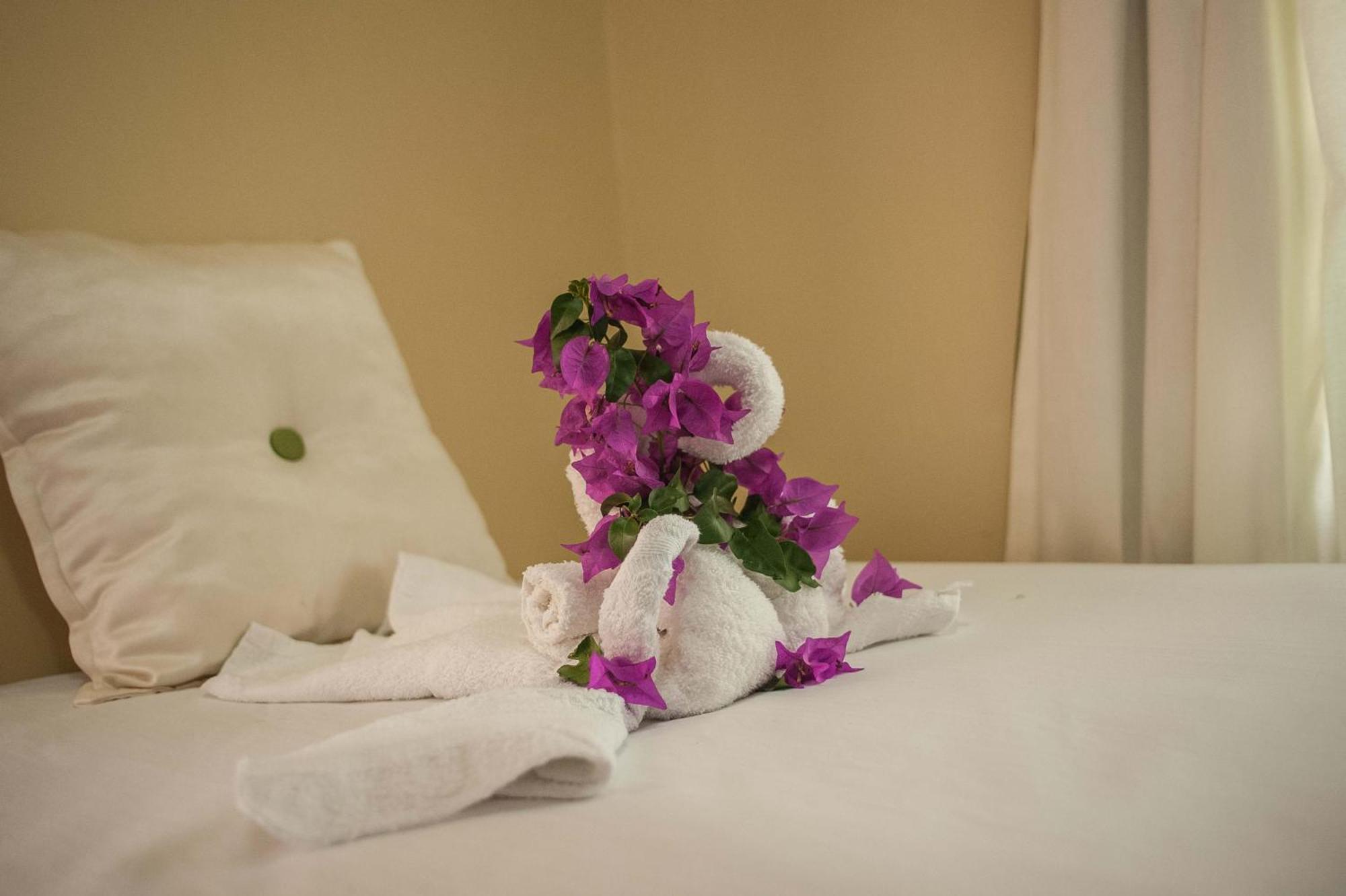 Clarridge View Guesthouse Бухта Монтего Экстерьер фото